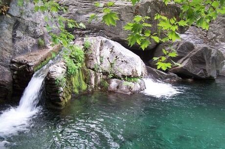 Kazdağları ve Cunda Adası Turu