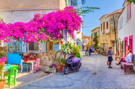 Alaçatı & Urla Turu (Yüzme Molalı)