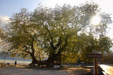 Gölyazı-Oylat Mağarası-Mudanya Turu